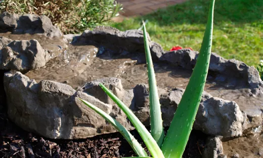 Bachlauf, Bachlaufschale, Wasserfall, Wasserkaskade Green River