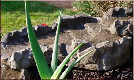 Bachlaufschale, Bachlauf, Wasserfall, Wasserkaskade Amazonas